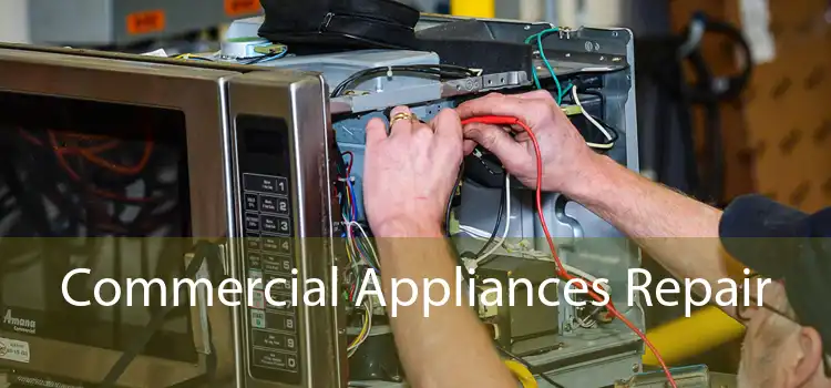 Commercial Appliances Repair 