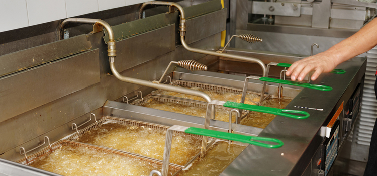 Commercial Fryer Repair in Stoney Creek